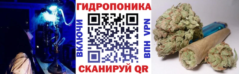 Бошки Шишки Котовск