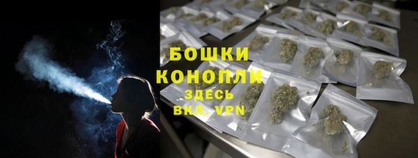 Альфа ПВП Бородино