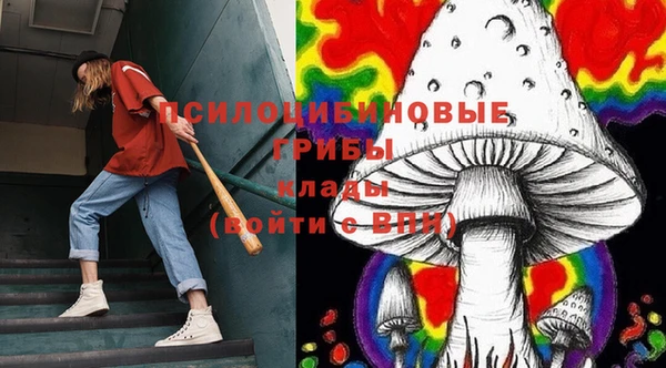 Альфа ПВП Бородино