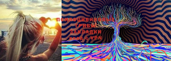 тгк Тихорецк