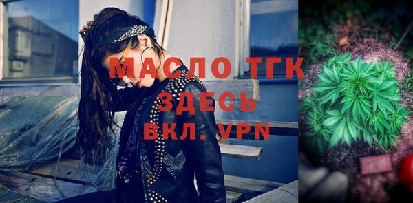 Альфа ПВП Бородино