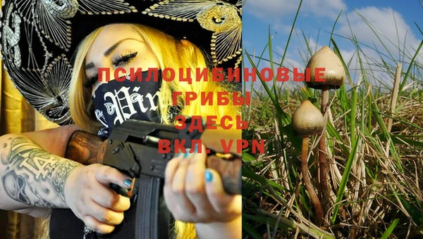 прущие крисы Бронницы