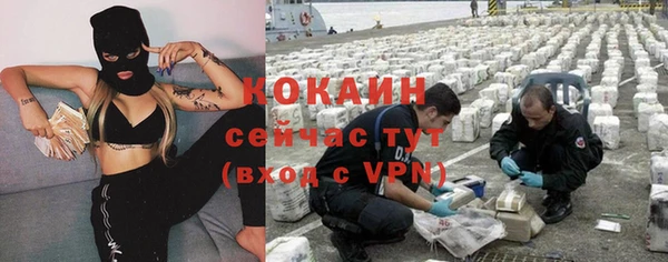 сатива Бугульма