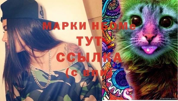 Альфа ПВП Бородино