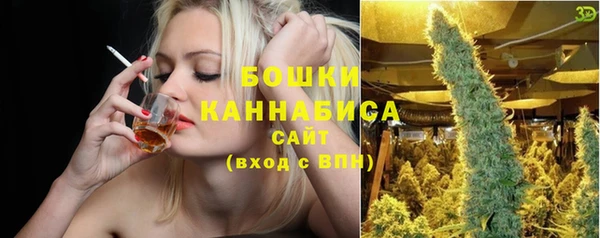 Альфа ПВП Бородино