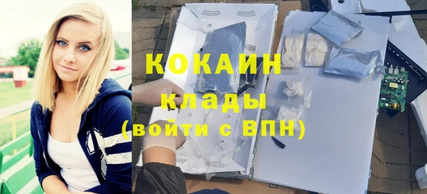 Альфа ПВП Бородино